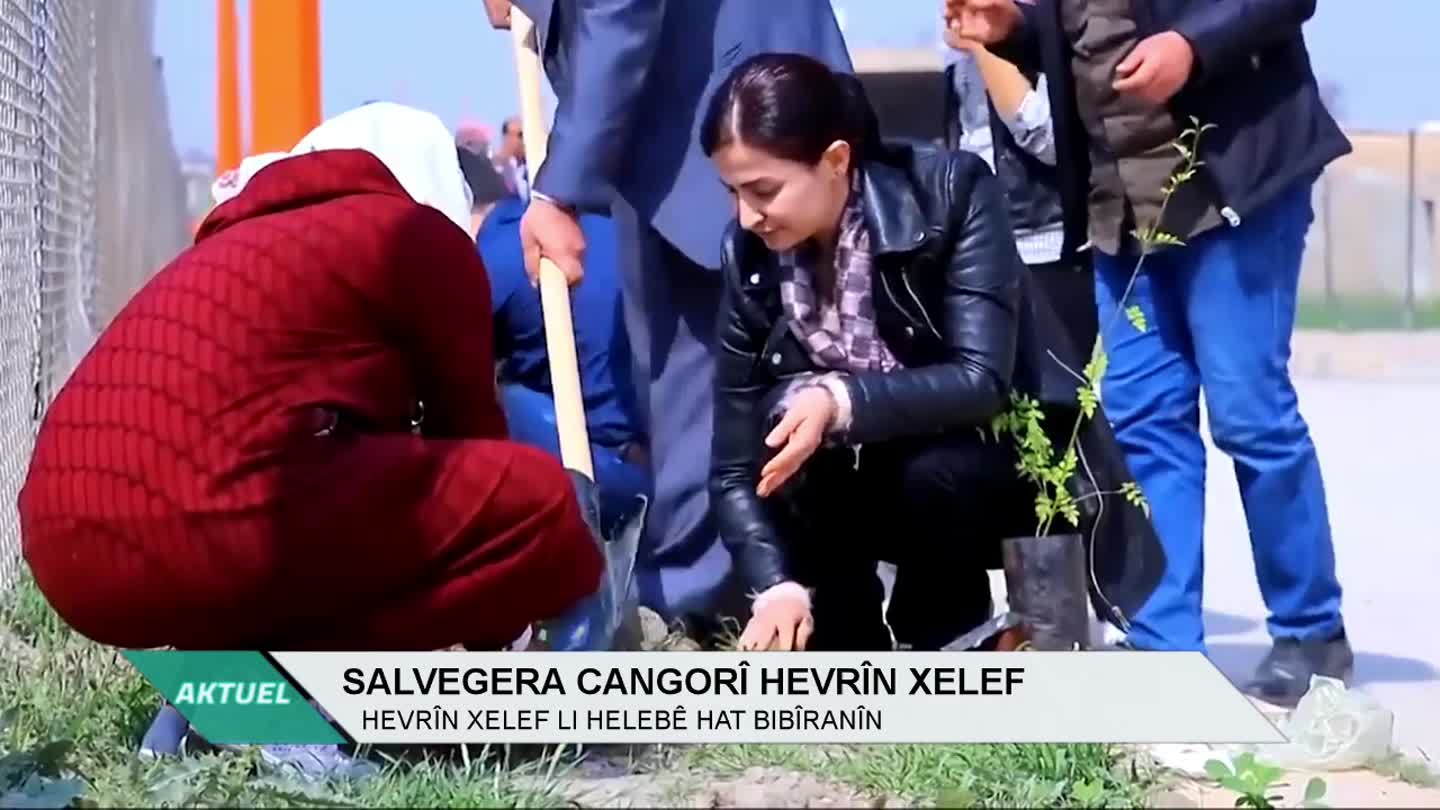 AKTUEL SONGUL CELIK FIKRIYA FERHO AYSEL AVESTA