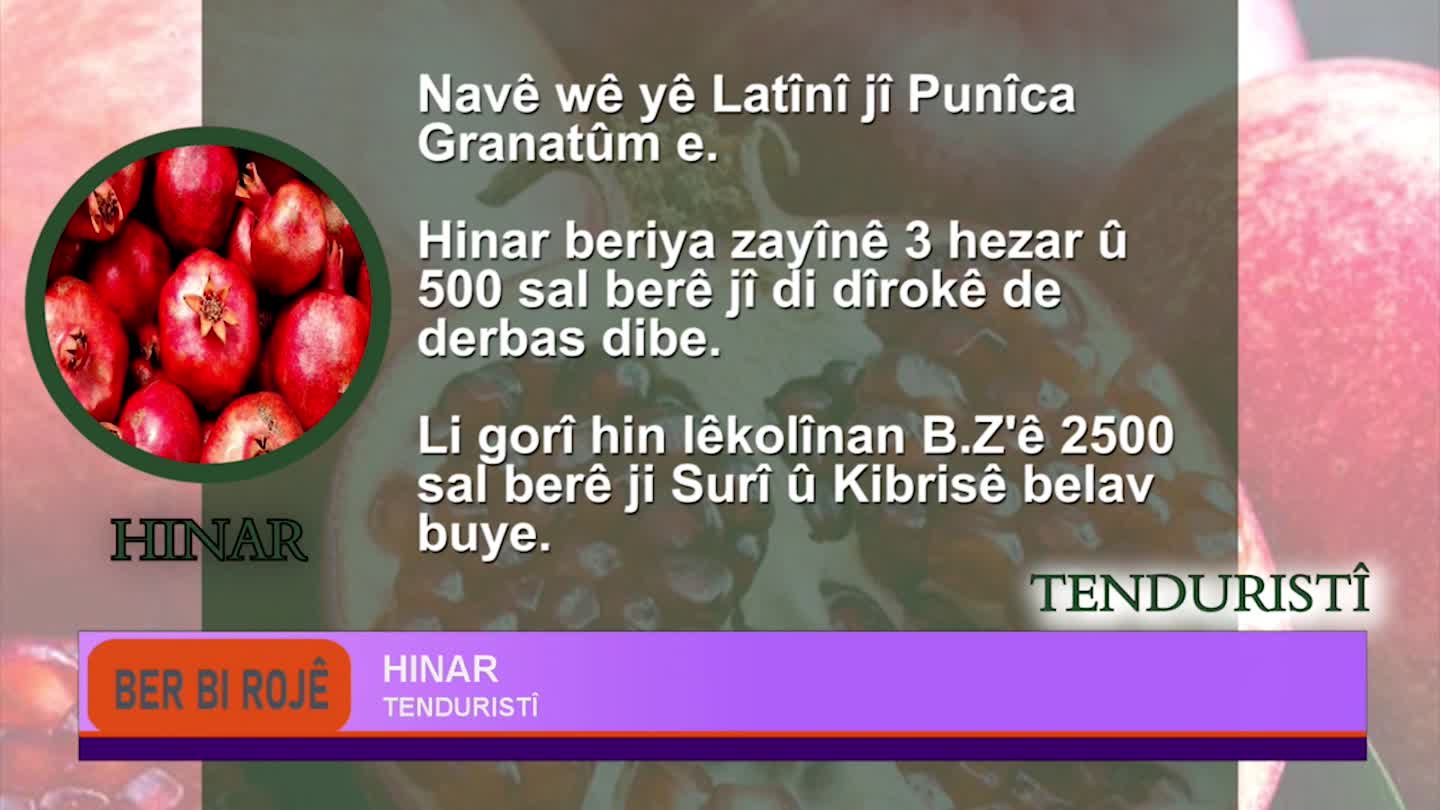 BER BI ROJE EVLIN MIHEMED ELI BERITAN IRLAN BERIVAN KIZIL VIYAN KARAHAN