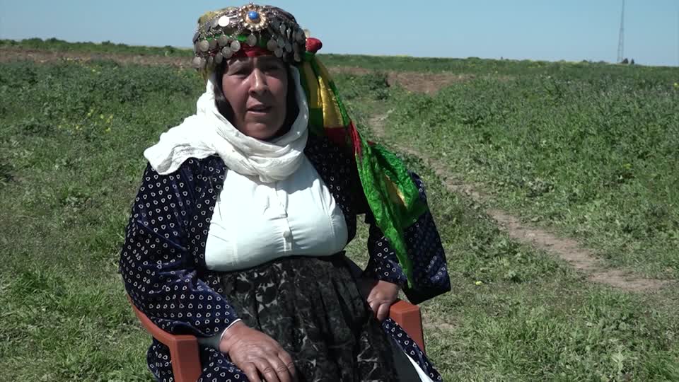 BERNAME TAYBET KOBANE JIN U DENGBEJ SEMSE MIHEMED RABIA ITO