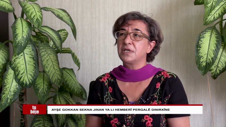 AMED AYSE GOKKAN DOSYA TAYBET LISER PEVAJO SARAS