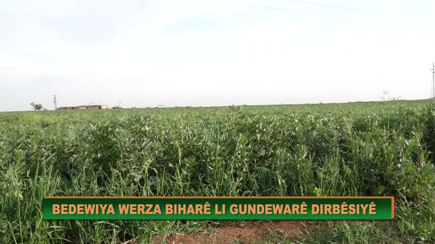 BIHARA GUNDEWARE DIRBESIYE HAVIN