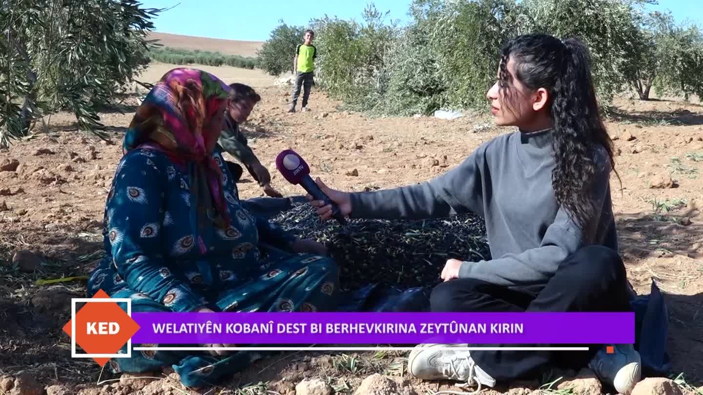 KED KOBANE HEZNA CELAL BERHEVKIRINA ZEYTUNAN