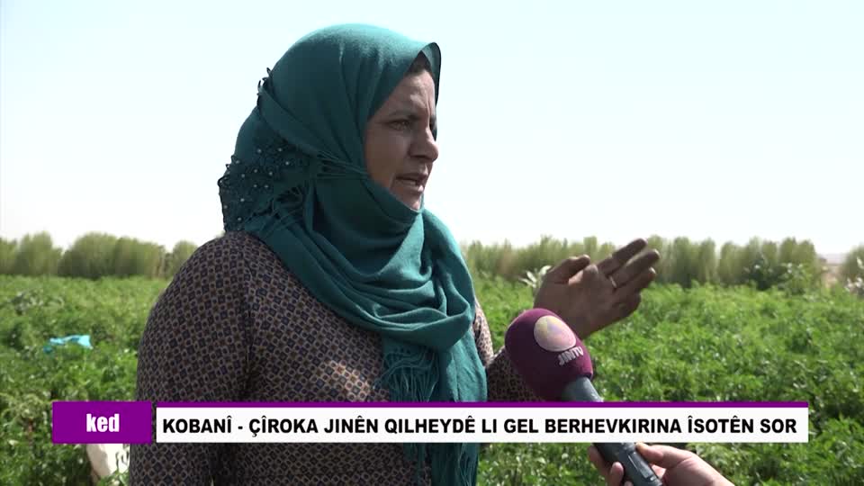 KOBANE BERHEVKIRINA ISOTAN