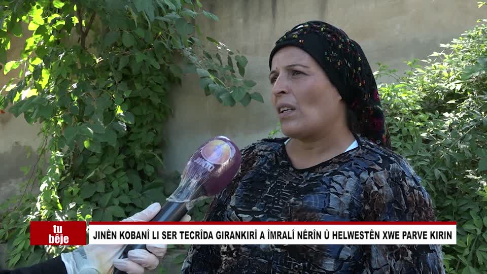 KOBANI NERINEN JINAN JI BO TECRIDA IMRALI HAVIN