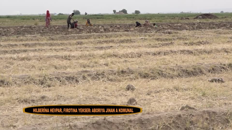 QAMISLO DOSYA TAYBET ABORIYA KOMINAL YA JIN KURDI