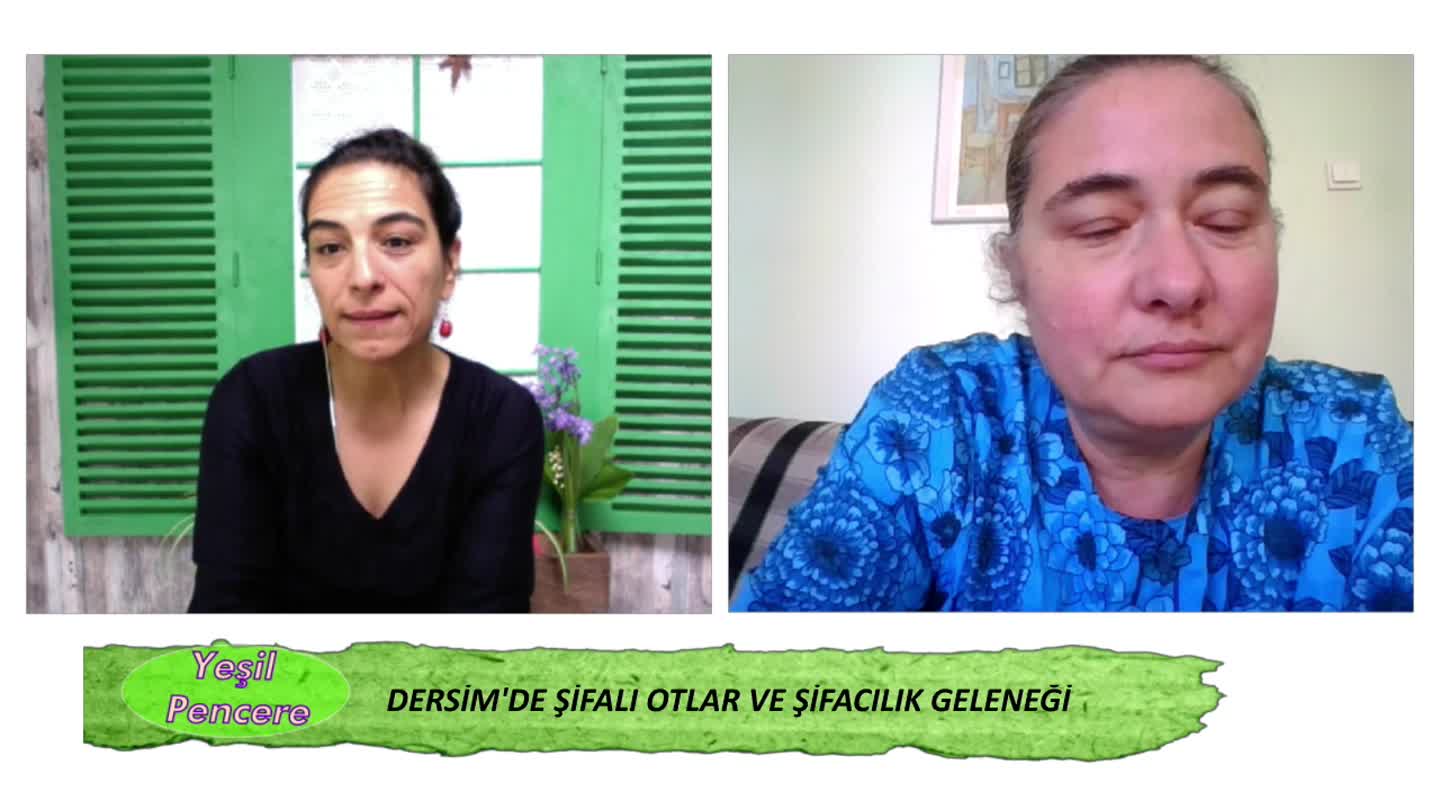 YESIL PENCERE GULER YILDIZ