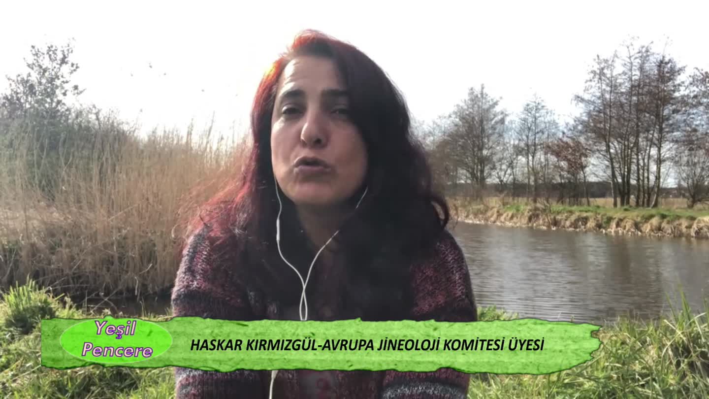 YESIL PENCERE GULER YILDIZ HASKAR KIRMIZIGUL DENIZ GUMUSEL